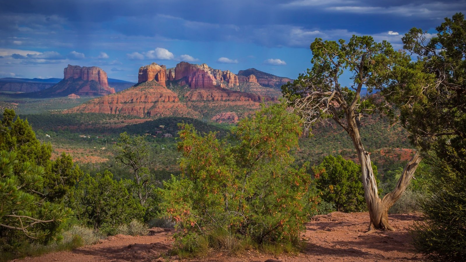 A beautiful desert view with trees
