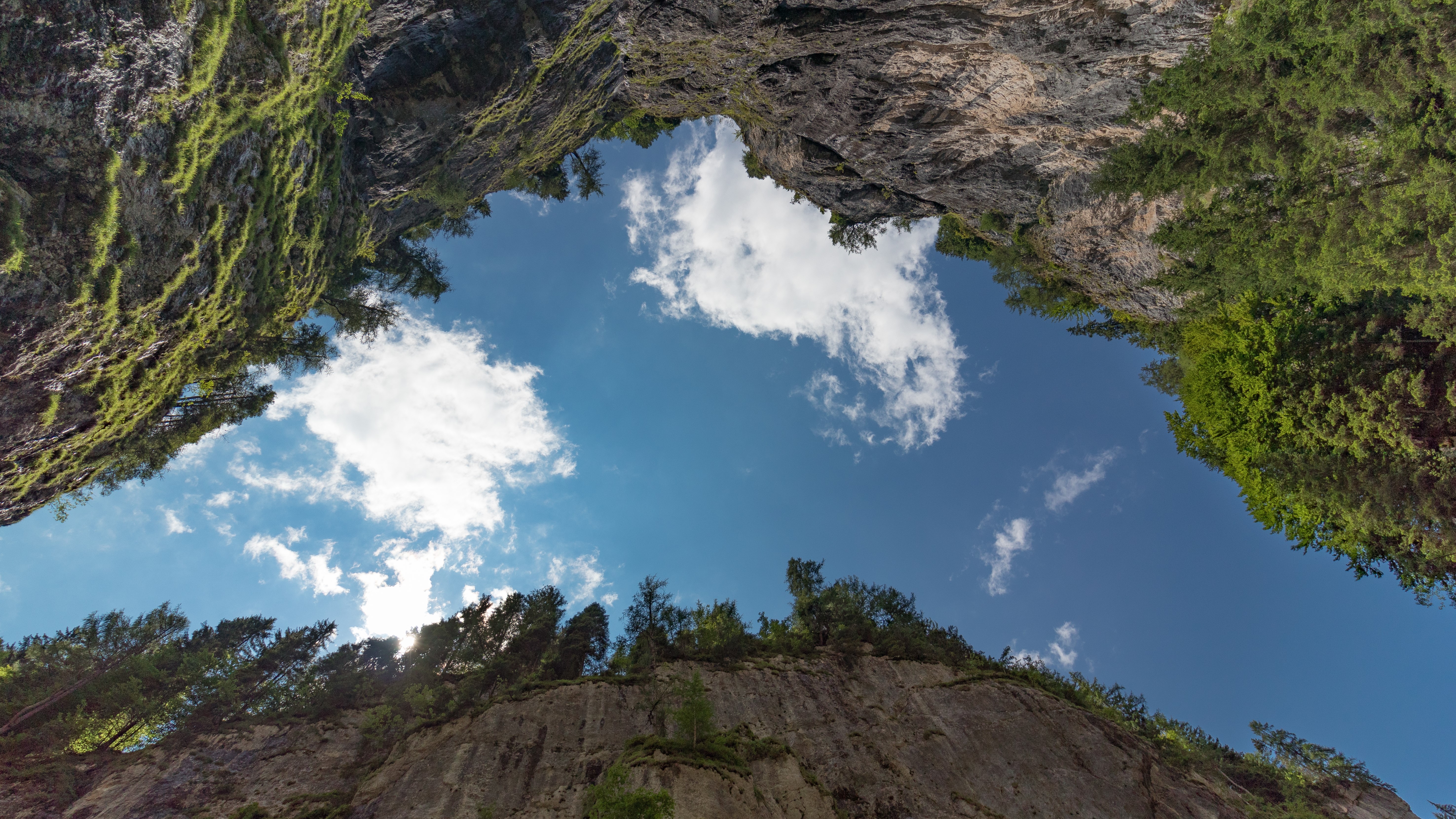 A view of the sky through trees and rock